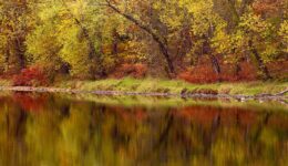 fall foliage massachusetts