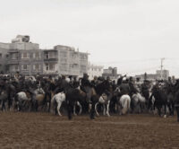 Buzkashi: Not for the Faint of Heart