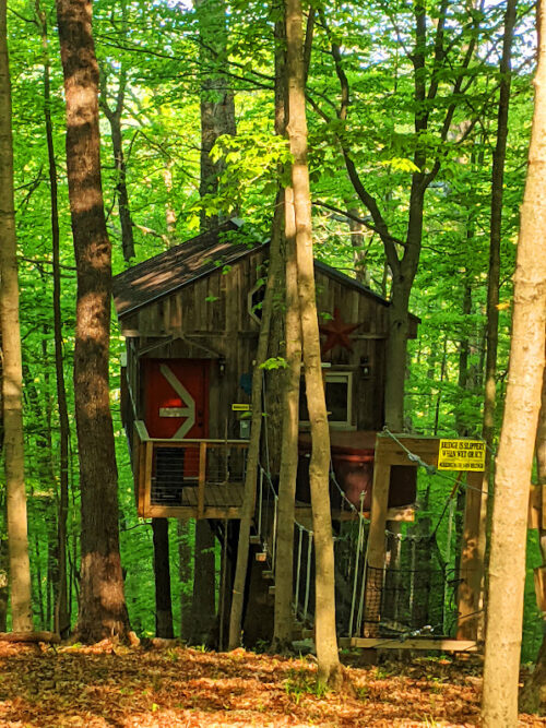 One treehouse looked like a vintage barn; photo by Frank Hosek