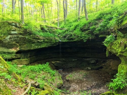 the stream as it trickled over the lip of a cave and disappeared; photo by Frank Hosek