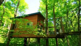 The Maple View Treehouse secured by 4 sugar maple trees; photo by Frank Hosek