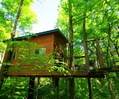 The Maple View Treehouse secured by 4 sugar maple trees; photo by Frank Hosek