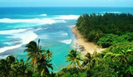 Pacific Ocean overlook