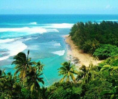 Pacific Ocean overlook