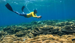 Cairns: Great Barrier Reef