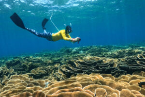 Cairns: Great Barrier Reef