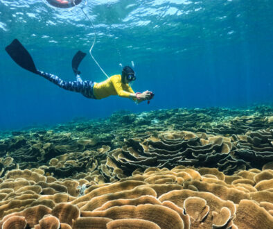 Cairns: Great Barrier Reef