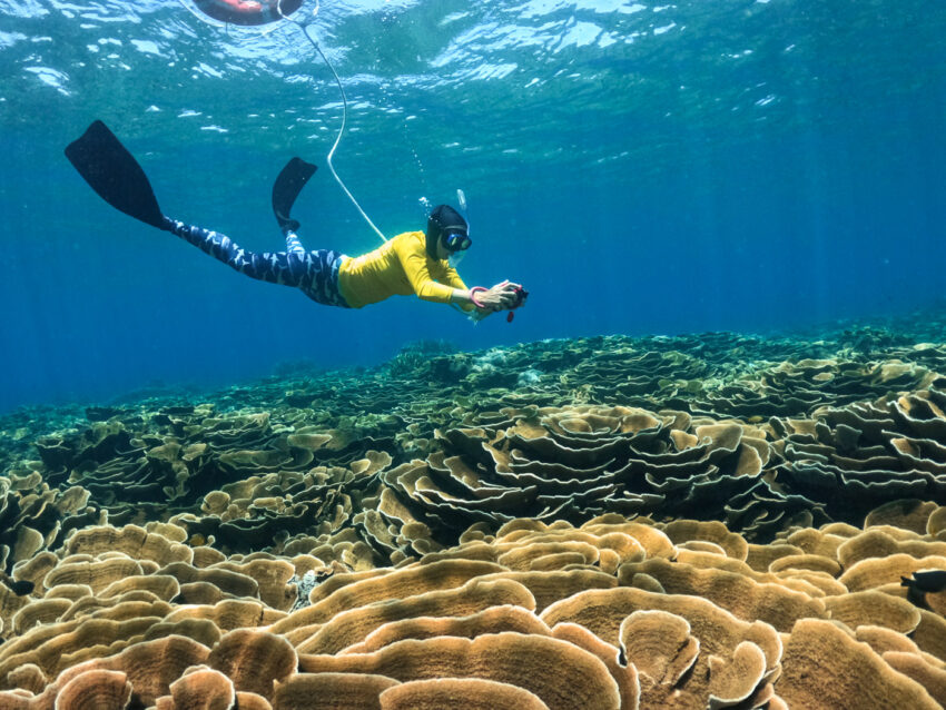 Great Barrier Reef, Cairns, Australia