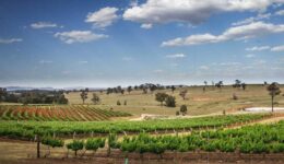 Hunter Valley Australia. Jennefer Zacarias photo.