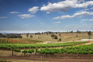 Hunter Valley Australia. Jennefer Zacarias photo.