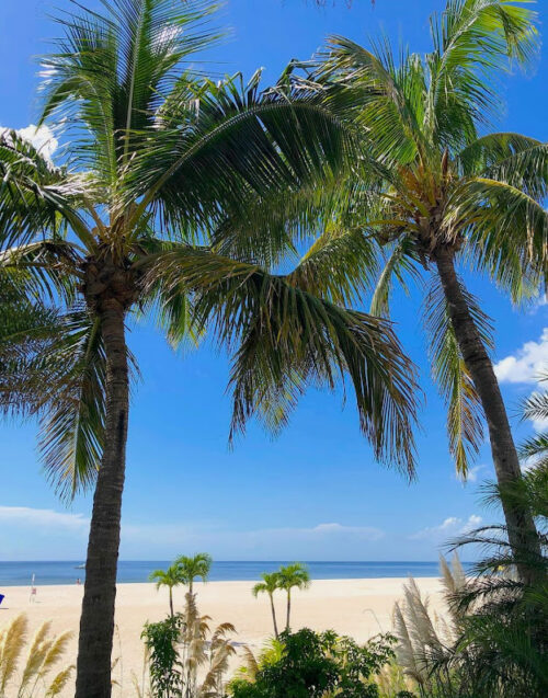 Life is good on the award-winning beaches of St. Petersburg- photo by Noreen Kompanik