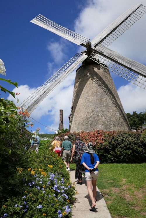 The lovely Moran Lewis Windmill is one of only two operating sugar windmills in the world and tells the story of how to turn sugar cane into rum.