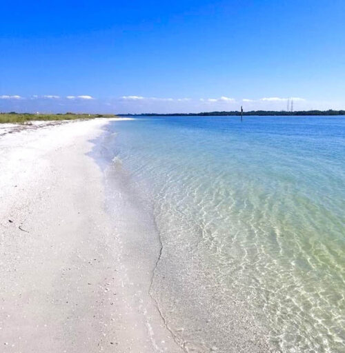 Shell Key Preserve beaches are so pristine- photo by Noreen Kompanik