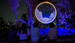 Children take in the wonder of Astra Lumina's Stellar Visions zone in the Anakeesta theme park. Dana Armstrong photos.