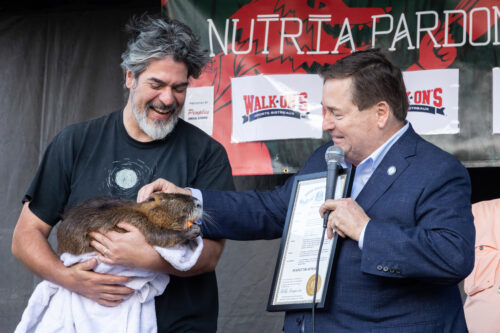 NUTRIA PARDONING: Lt. Gov. Billy Nungesser pardoned Beignet the Nutria 