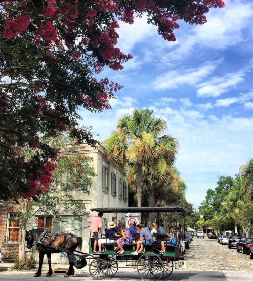 A horse drawn carriage tour in Charleston SC.