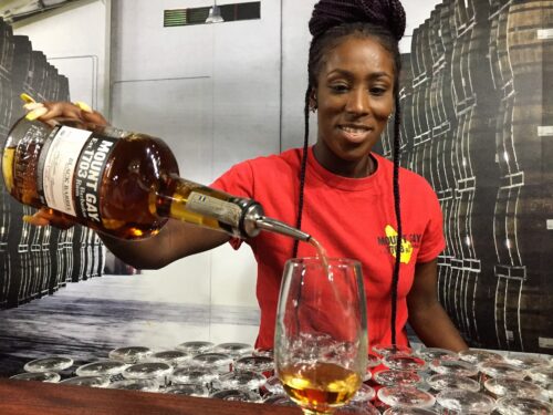 The Mount Gay Barbados Rum distillery is the oldest licensed distillery in the world. They offer tours and an excellent lunch with rum tastings and Bajan local foods.