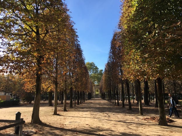 Foliage turning in a Tuileries garden allée