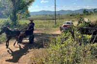 Whether it's by classic car or horse and buggy, travel is slow throughout Cuba.