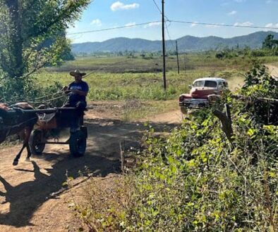Whether it's by classic car or horse and buggy, travel is slow throughout Cuba.