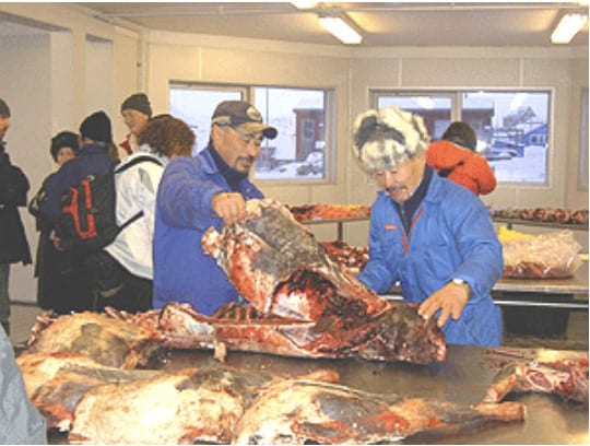 Greenland: See it Before it Melts in 2023 6 Seal meat market in Greenland.