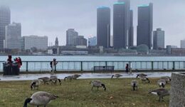 The Detroit skyline, en route to Dearborn MI.
