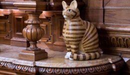 kattenkabinet