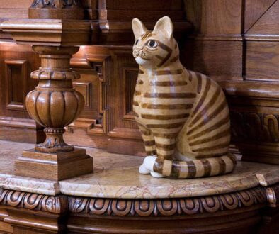 kattenkabinet