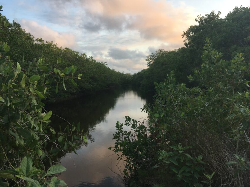 El Palmar Nature Reserve in Yucatan