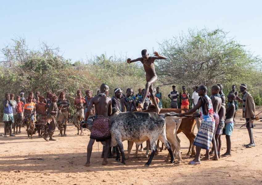 This young man successfully jumped over the bulls, wearing only strips of tree bark for spiritual protection.