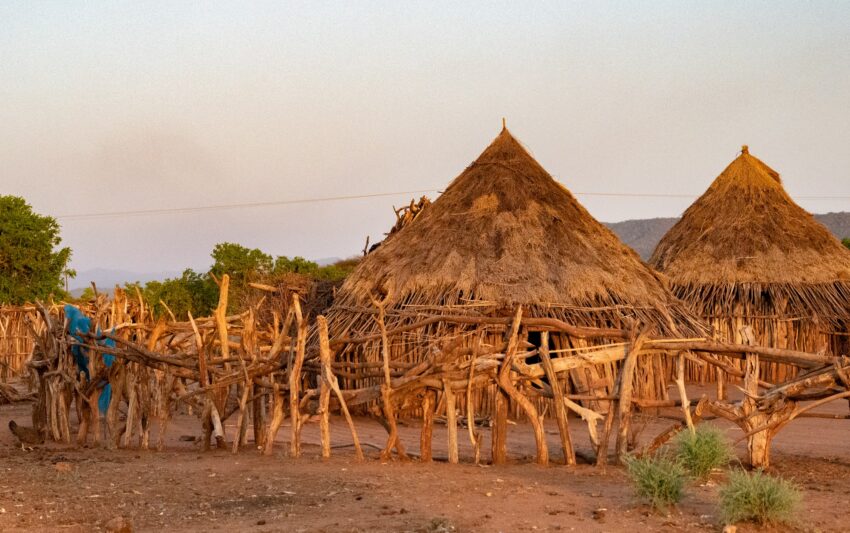 A typical Hamar village consists of cone-shaped huts with thatched coverings. Once the tribe has exhausted the land around them, they move on. bull-jumping