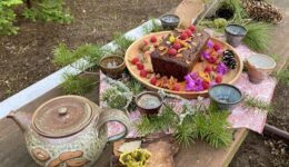 The forest bathing walk ends with Veronika's popular banana bread served during forest tea time. (Photo by Shinrin-Yoku United)