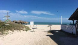 There are plenty of restaurants on the beach too