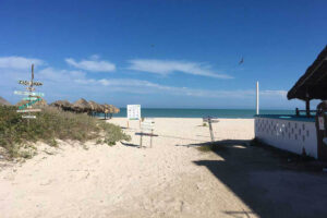 There are plenty of restaurants on the beach too