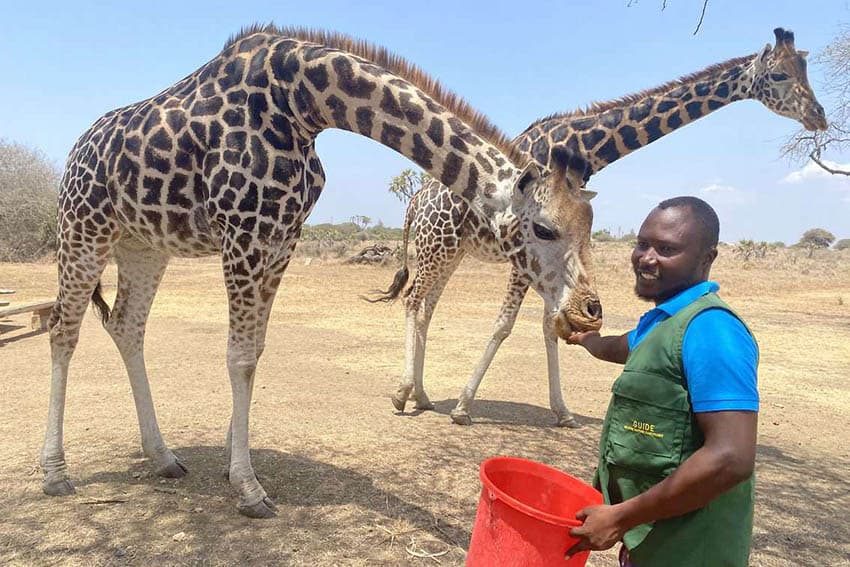 Mombasa, Kenya: Crocs, Snakes and Empowered Artists