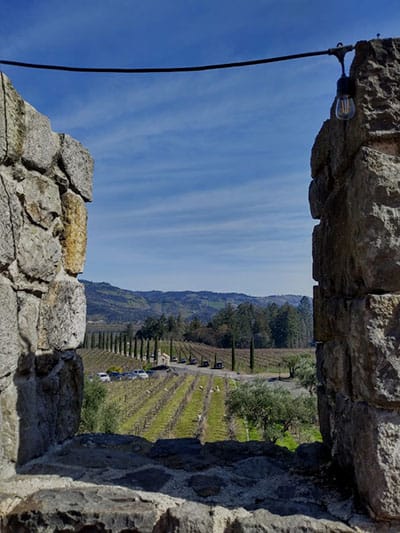 On the battlements. When you come up to what might have been the battlement and look down, you see the vineyards all around. There is a peace there that even the background hum of many tourists talking, trying to control their children and what-not cannot dispel. Photo by Adrian Tysoe