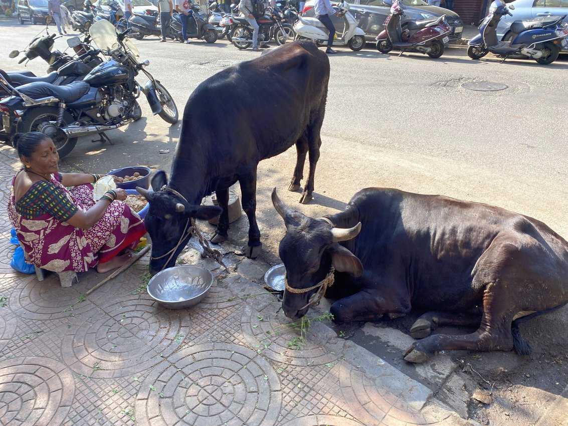 Bombay from an Ex-pat Perspective