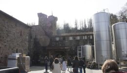 Just past the drawbridge. The modern wine-making equipment should seem jarring in its castle setting but doesn’t. The juxtaposition is striking and somehow just right. Photo by Adrian Tysoe