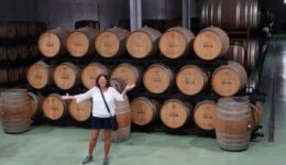 Douro Valley vineyard (Maureen Hauser)