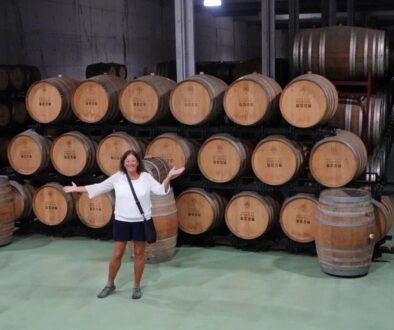 Douro Valley vineyard (Maureen Hauser)
