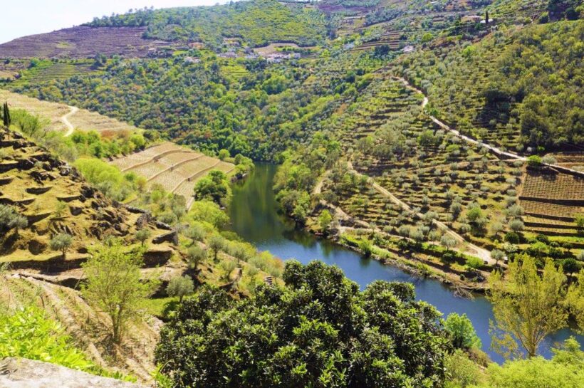 Douro Valley Views