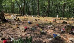 Coon-dog-graveyard