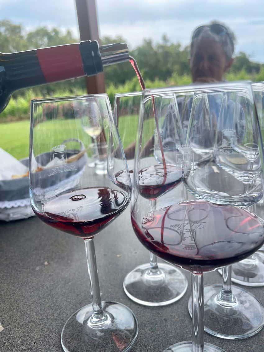 Wine tasting at Leda, Azienda Agricola, in Sardinia on the Star Clippers cruise.