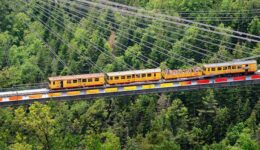More of the Yellow Train