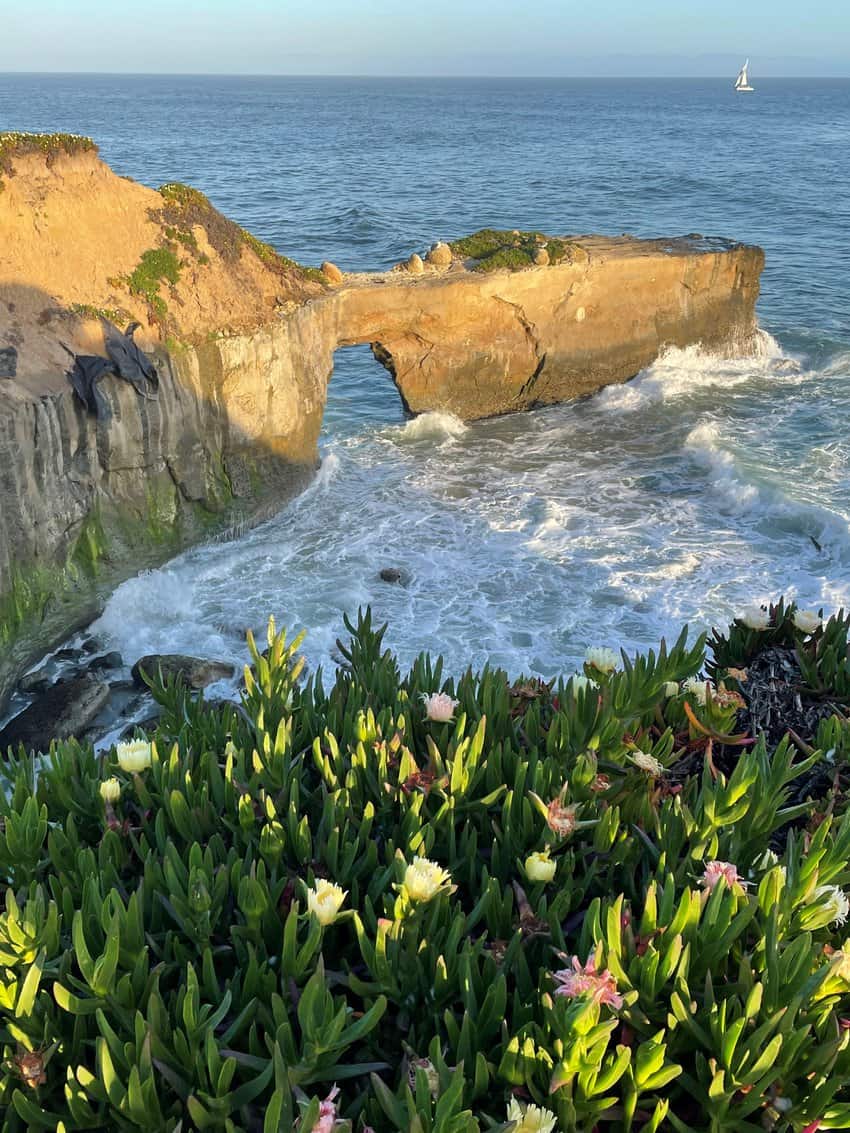 Santa Cruz cliff walk.