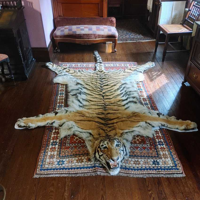 Bengal tiger rug Alice room