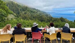 The backdrop of the Nepenthe/Phoenix Café in Big Sur looks like it was painted, but it's really there. The landslide that closed the highway is out there somewhere in the photo, but the road is open to the famous restaurant.