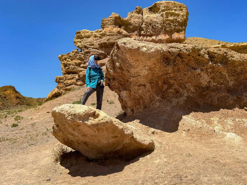 Charyn Canyon, part of Qazaq National Parks, boasts over 1,500 plant species, 62 mammals, 103 nesting birds, and 25 reptile species.