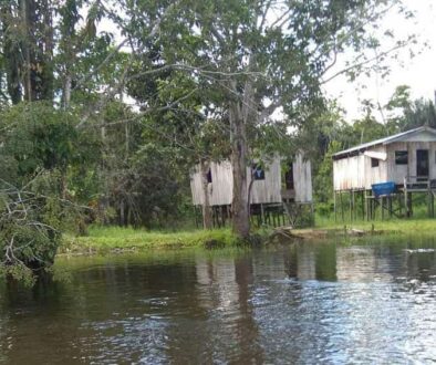 a riverside community at Mamiraua Reserve