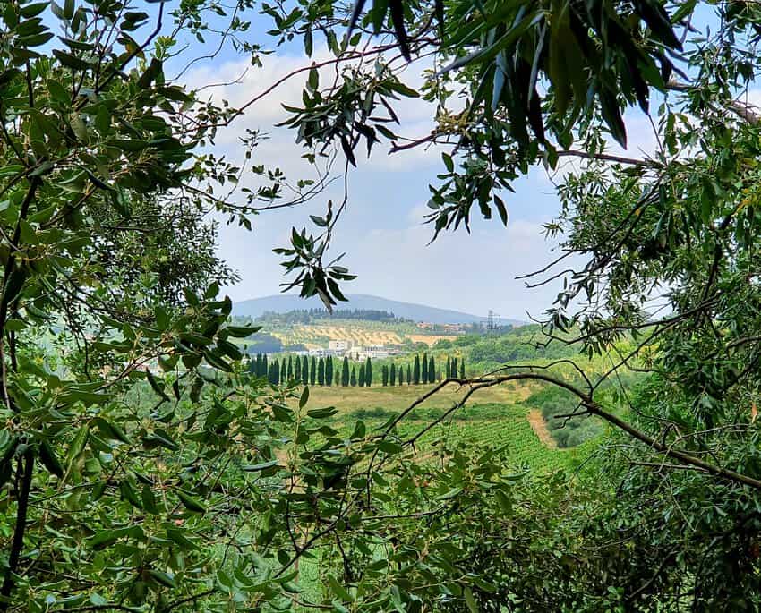 View to Siena from the La Torre alle Tolfe estate
